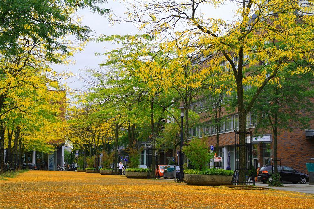 Essen City Suites Eksteriør billede